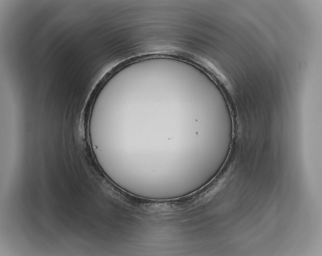 X0000111160883200907141359