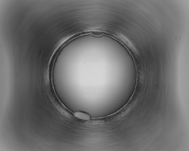 X0000111160884200907141359