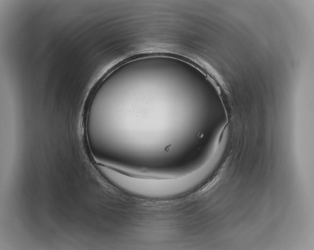 X0000111160885200907141359