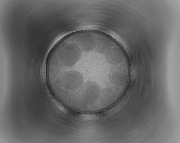 X0000111160886200907141359