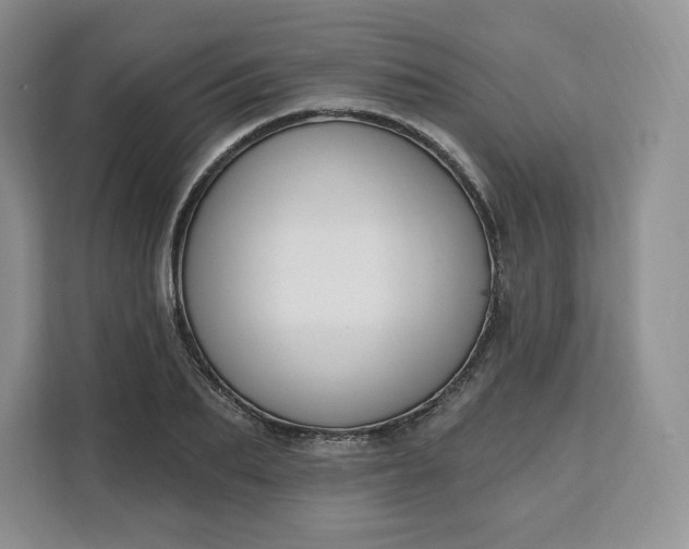 X0000111160887200907141359