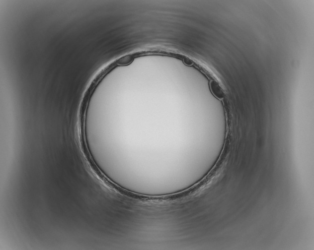 X0000111160888200907141359