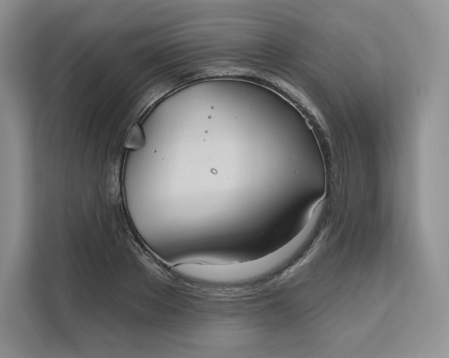 X0000111160889200907141359