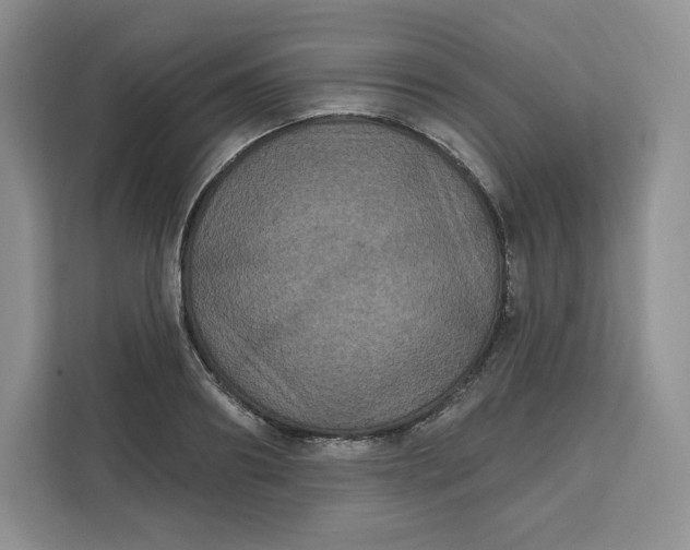 X0000111160890200907141359