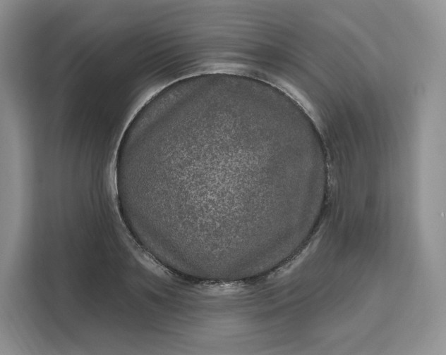 X0000111160891200907141359