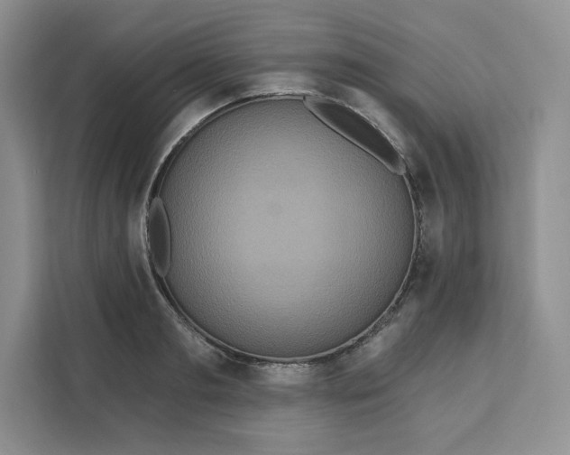 X0000111160893200907141359