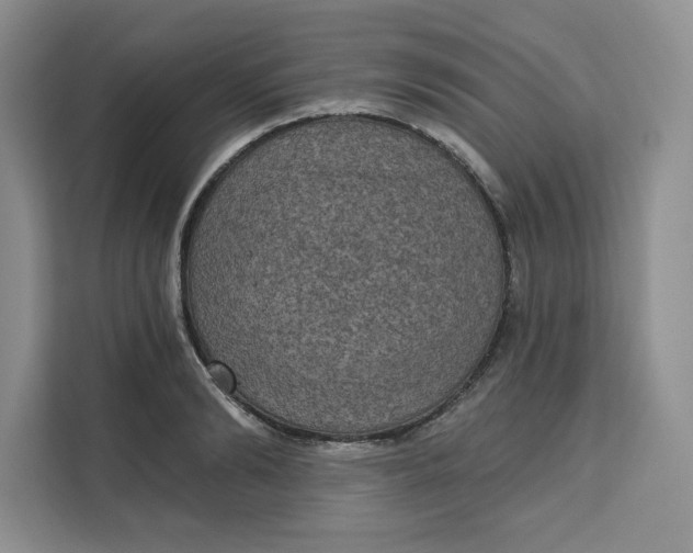 X0000111160894200907141359