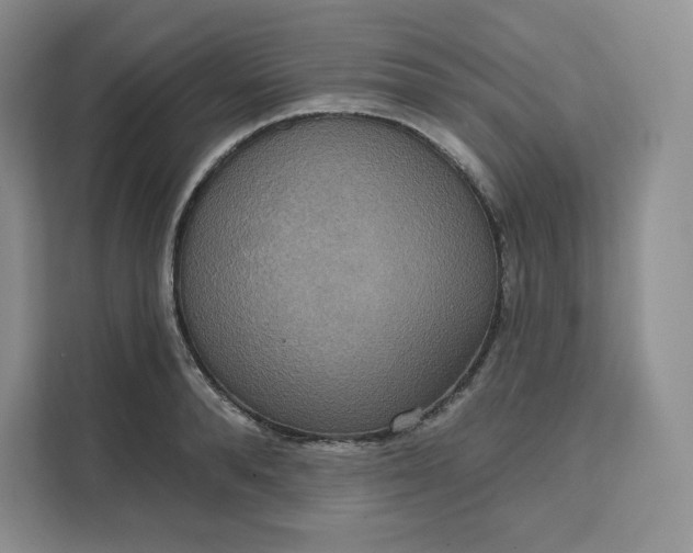 X0000111160896200907141359