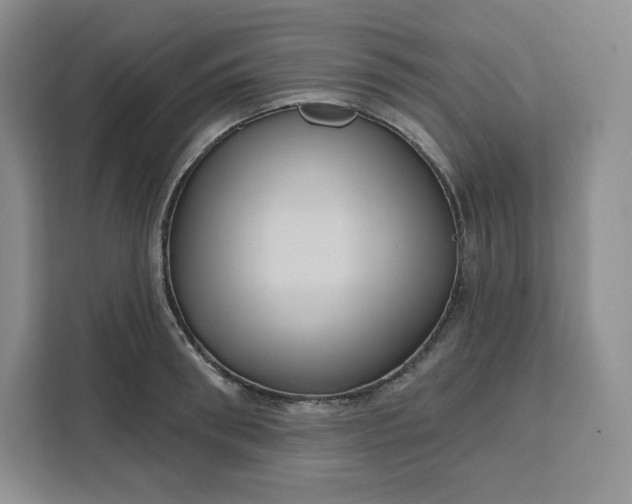 X0000111160898200907141359