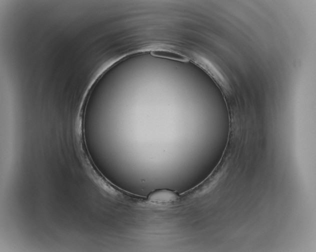 X0000111160900200907141359