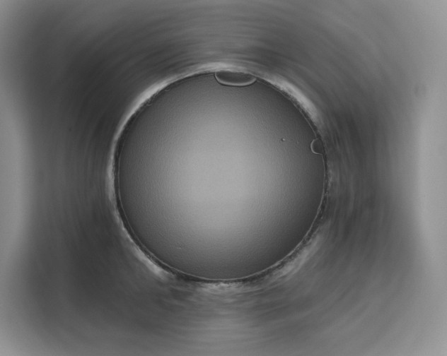 X0000111160902200907141359