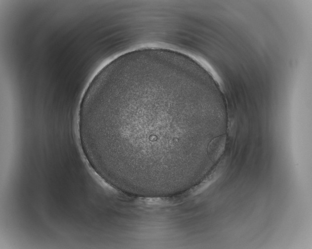 X0000111160903200907141359