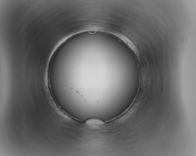 X0000111160904200907141359