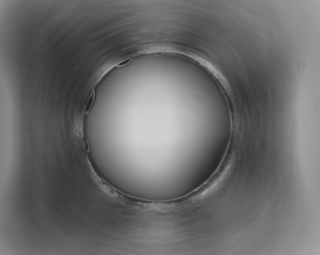 X0000111160905200907141359