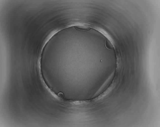 X0000111160906200907141359