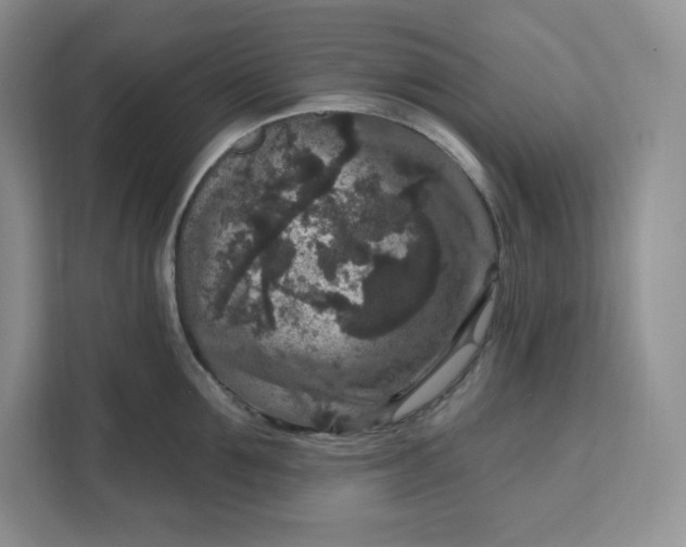 X0000111160907200907141359