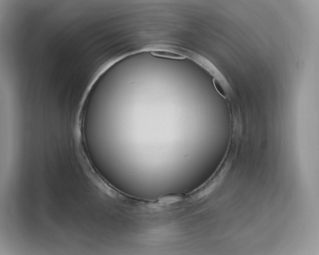 X0000111160908200907141359