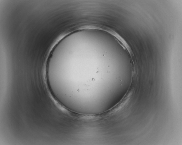 X0000111160909200907141359