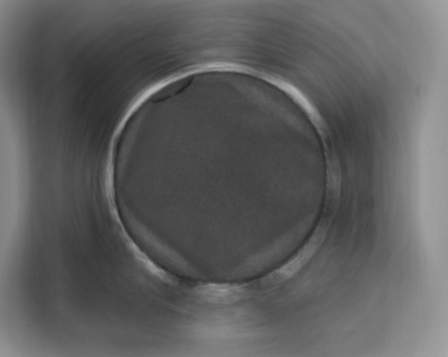 X0000111160910200907141359
