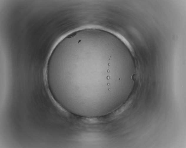 X0000111160911200907141359