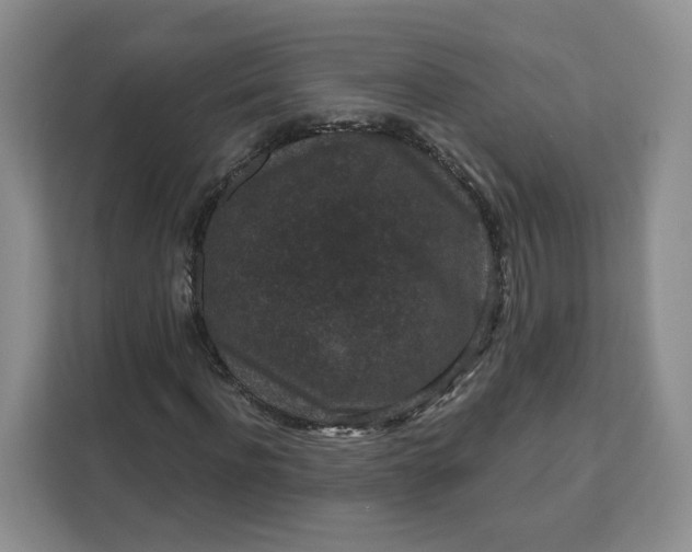 X0000111160916200907141358