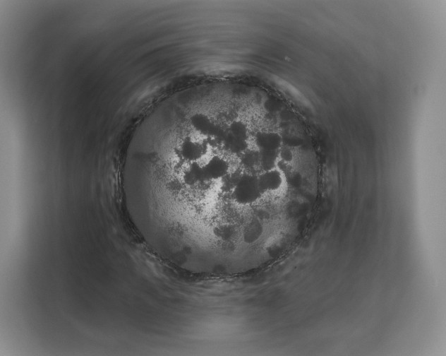 X0000111160917200907141358