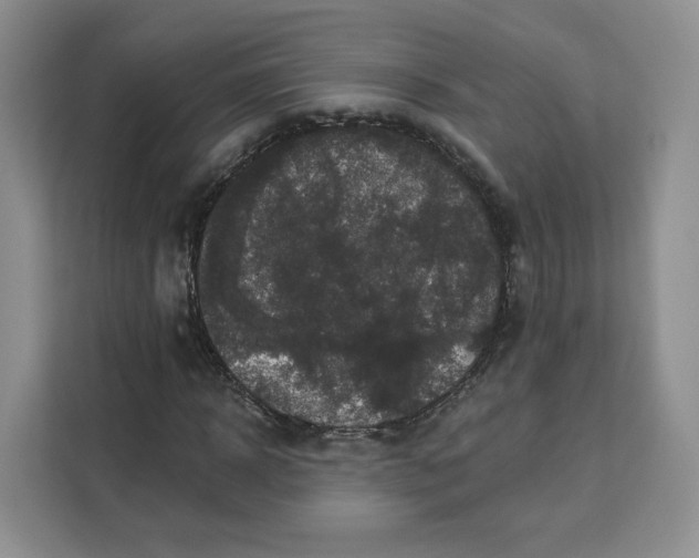 X0000111160918200907141358