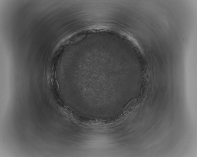 X0000111160920200907141358