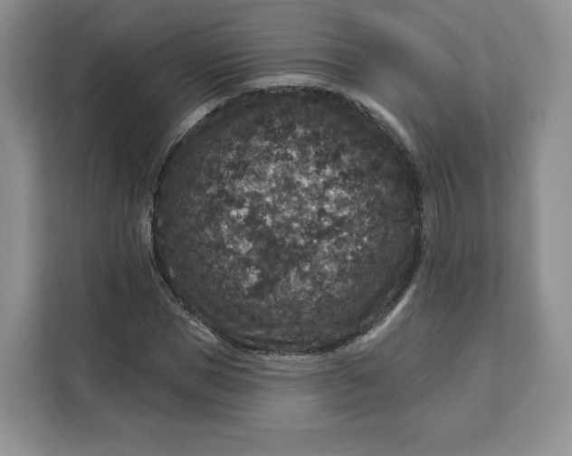 X0000111160921200907141358