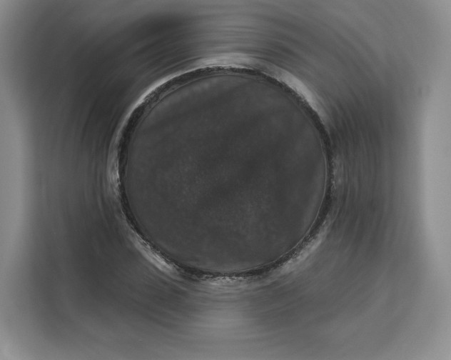 X0000111160923200907141358