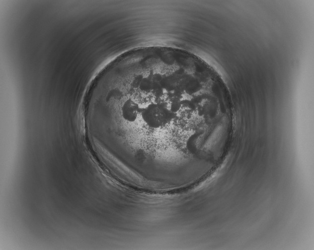 X0000111160925200907141358