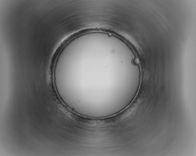 X0000111160927200907141358