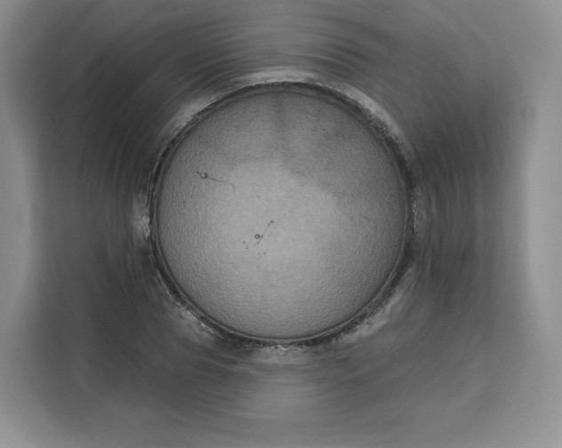 X0000111160929200907141358