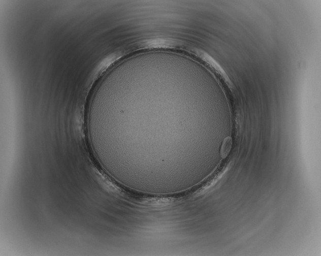 X0000111160930200907141358
