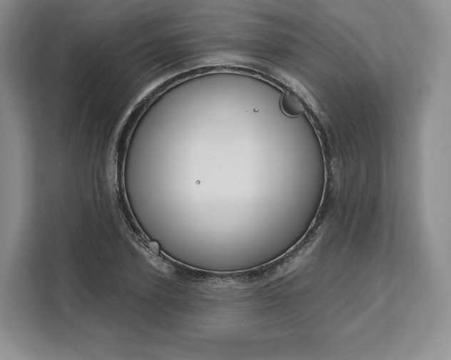 X0000111160931200907141358