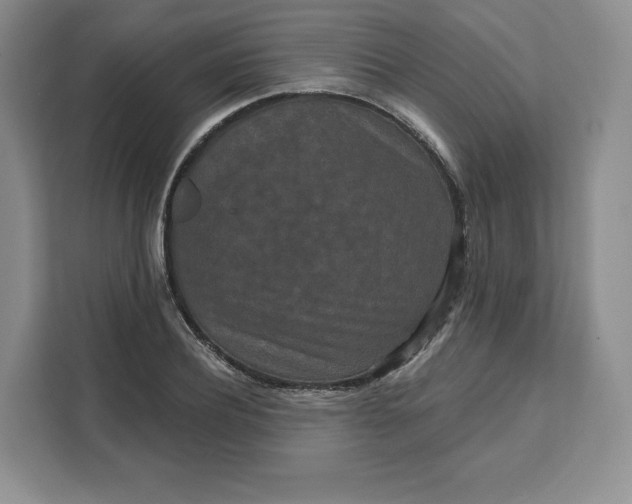 X0000111160932200907141358