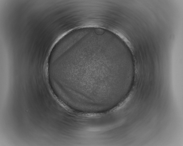 X0000111160933200907141358