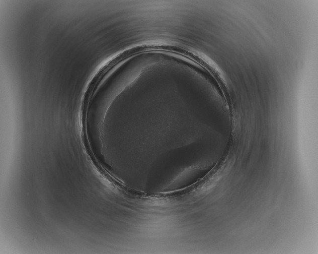 X0000111160935200907141358