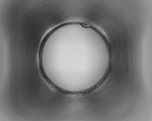 X0000111160936200907141358