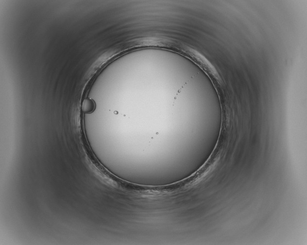 X0000111160938200907141358