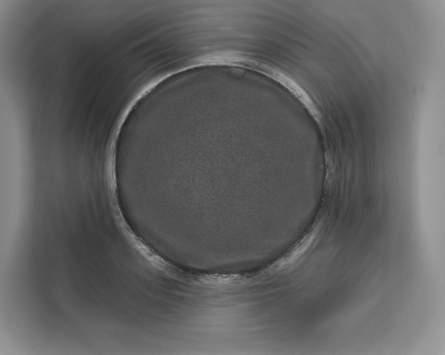 X0000111160939200907141358