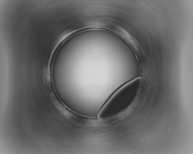 X0000111160940200907141358