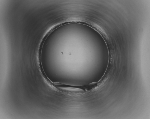 X0000111160942200907141358
