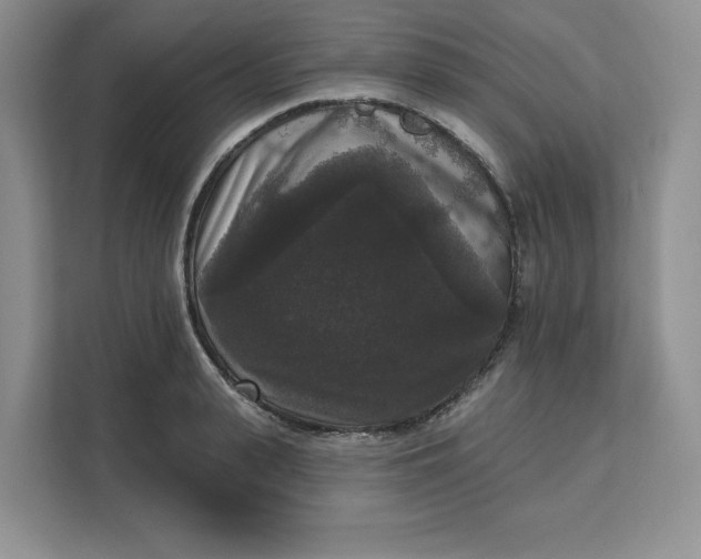 X0000111160943200907141358