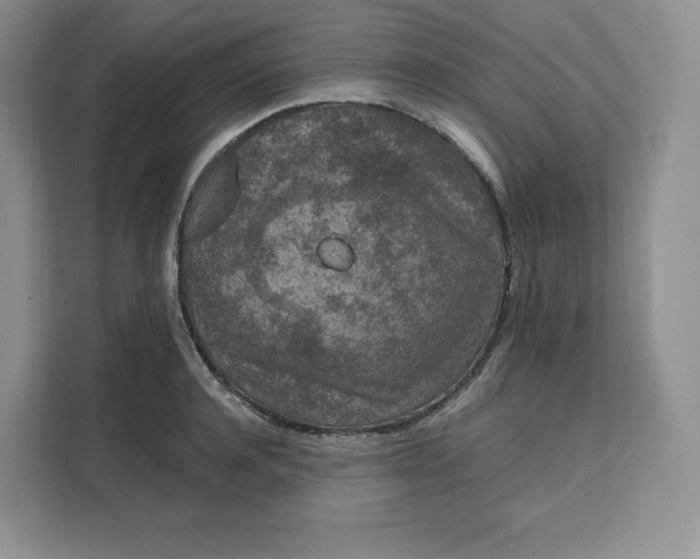 X0000111160944200907141358