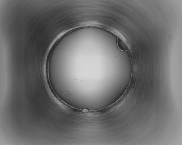 X0000111160947200907141358