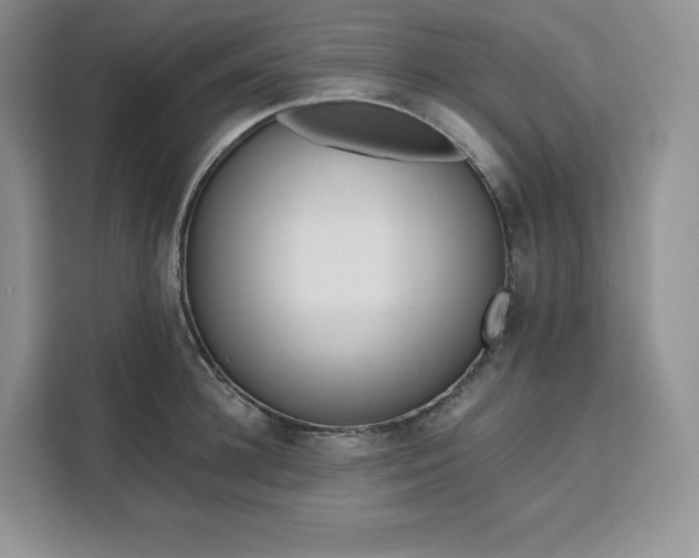 X0000111160948200907141358