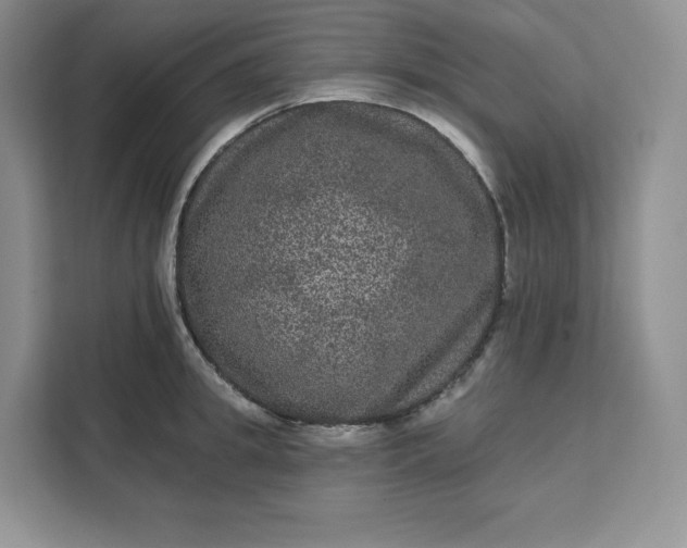 X0000111160949200907141359