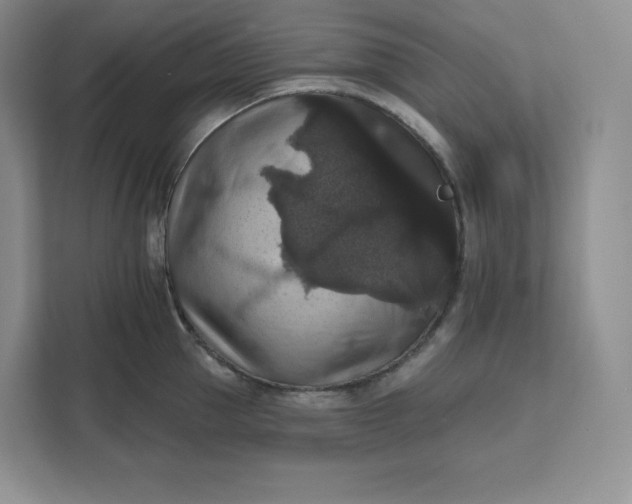 X0000111160953200907141359