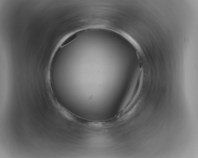 X0000111160956200907141359